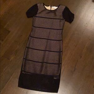 Mesh dress w beige liner